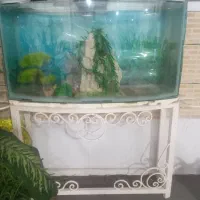 فروش آکواریوم