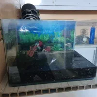 آکواریوم لب خمیده با سنگ