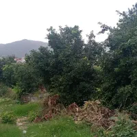200مترمسکونی-دونبش-برای-اپارتمان-سازی