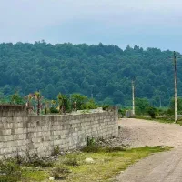 زمین-200-متری-پلاک-یک-جنگل-با-آب-برق-گاز-سندتگ-برگ