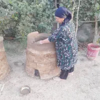 تنوردستی