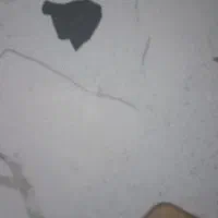 زمین کشاورزی اجاره داده میشود
