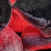 فروش ذغال لیمو