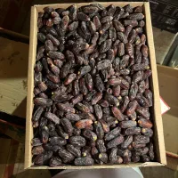 خرما|عمده‌فروشی|ایرانشهر, |دیوار