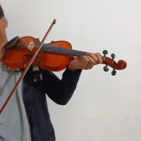 ویالن|ویولن|یاسوج, |دیوار