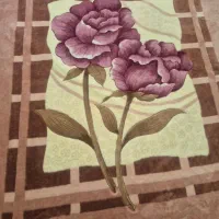 پتو کره ای اصل|رختخواب، بالش، پتو|بندرعباس, |دیوار