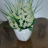 گل کریستالی|گل مصنوعی|یاسوج, |دیوار