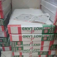 پکیج بوتان و رادیاتور پر بازده