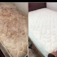 مبل شویی سپید|خدمات نظافت|مرودشت, ژیان|دیوار