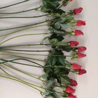 گل رز هلندی مصنوعی خارجی نو