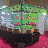 فروشنده خانوم برای رب انار