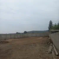 یک واحد دامداری با همه امکانات|فروش دفتر صنعتی، کشاورزی، تجاری|گرگان, |دیوار