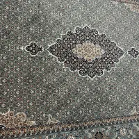 فرش ۶متری|فرش|بندر انزلی, جهانگانی|دیوار