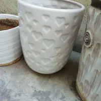 گلدان سرامیکی|گل و گیاه طبیعی|شیراز, شهرک گلشن|دیوار