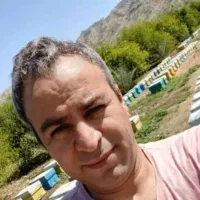 عسل صددر صد طبیعی|خوردنی و آشامیدنی|تهران, کوهک|دیوار