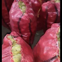 سیب زمینی جلی|خوردنی و آشامیدنی|زاغه, |دیوار