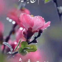 کارگرنانوایی خمیرگیرکه مسلط به ناخن زنی درانزلی