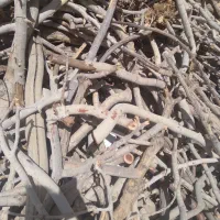 خریدار چوب پسته وانار