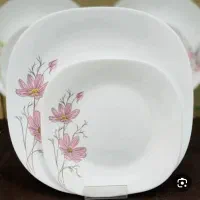 ظروف سرو و پذیرایی
