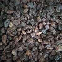 کشمش آفتابی بدون تیزاب