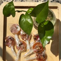 نبات چای|خوردنی و آشامیدنی|رشت, ترمینال|دیوار