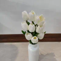 انواع گل و مصنوعات چوبی