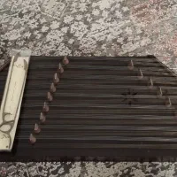 سنتور حرفه‌ای با کیف