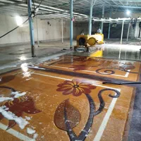 قالیشویی ومبل شویی تمام اتوماتیک قائم