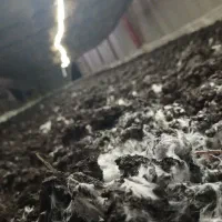 ضایعات کمپوست و خاک قارچ مخصوص باغ و گلخانه