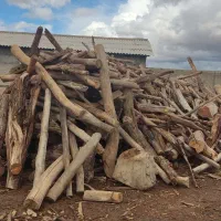 خرید چوب ضایعات چوب|خدمات باغبانی و درختکاری|شاهین دژ, |دیوار