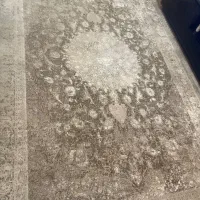 فرش ۱۲۰۰شانه بهشتی ۶متری