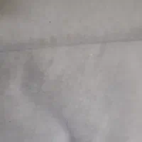 موکت پالاز
