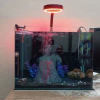 آکواریوم شیشه خم|ماهی|سراب, |دیوار