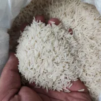 برنج ایرانی درجه یک سرگل ناب مینودشت|خوردنی و آشامیدنی|مشهد, کلاهدوز|دیوار
