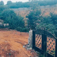 زمین،بافت باغات،نشتارود،کترا،طالش محله