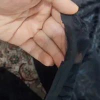 چادر مشکی|لباس|قم, شهرک فاطمیه|دیوار