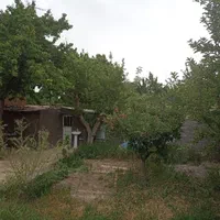 فروش باغ در روستای عارفی|فروش خانه و ویلا|مشهد, طرق|دیوار