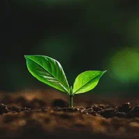 جذب نیرو در حوزه مشاوره درمانی