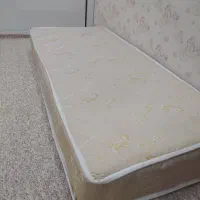 تشک رویال نوجوان،جوان