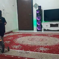 ۲عدد فرش۱۲متری درحدنو سالم سالم