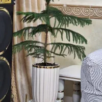 گل وگلدان کاملا سالم