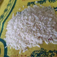 فروش فوری برنج عنبر|خوردنی و آشامیدنی|ایذه, |دیوار