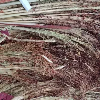 جارو دستی|لوازم نظافت|خرم‌آباد, |دیوار