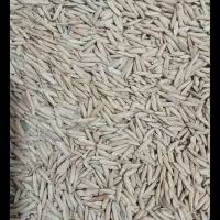40کیلو شالی ندا