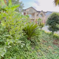 باغ ویلای ۸۰۰ متری استخر دار ۳خواب|فروش خانه و ویلا|زیباکنار, |دیوار