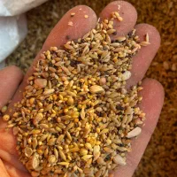 دان ویژه مرغ مینا ، کبوتر ، قناری ، مرغ عشق و طوطی|لوازم جانبی حیوانات|شهرضا, |دیوار