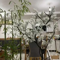 درختچه های زیبا و جذاب با برگهای مصنوعی تنه طبیعی|گل مصنوعی|بهشهر, |دیوار