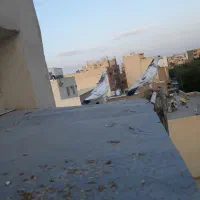 یک جفت کبوتر با جوجه و تعدادی نر|پرنده|اصفهان, وحید|دیوار