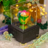 باکس گل رز آوا مناسب هدیه کادو