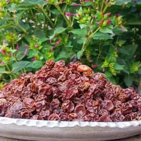 محصولات خانگی باغی